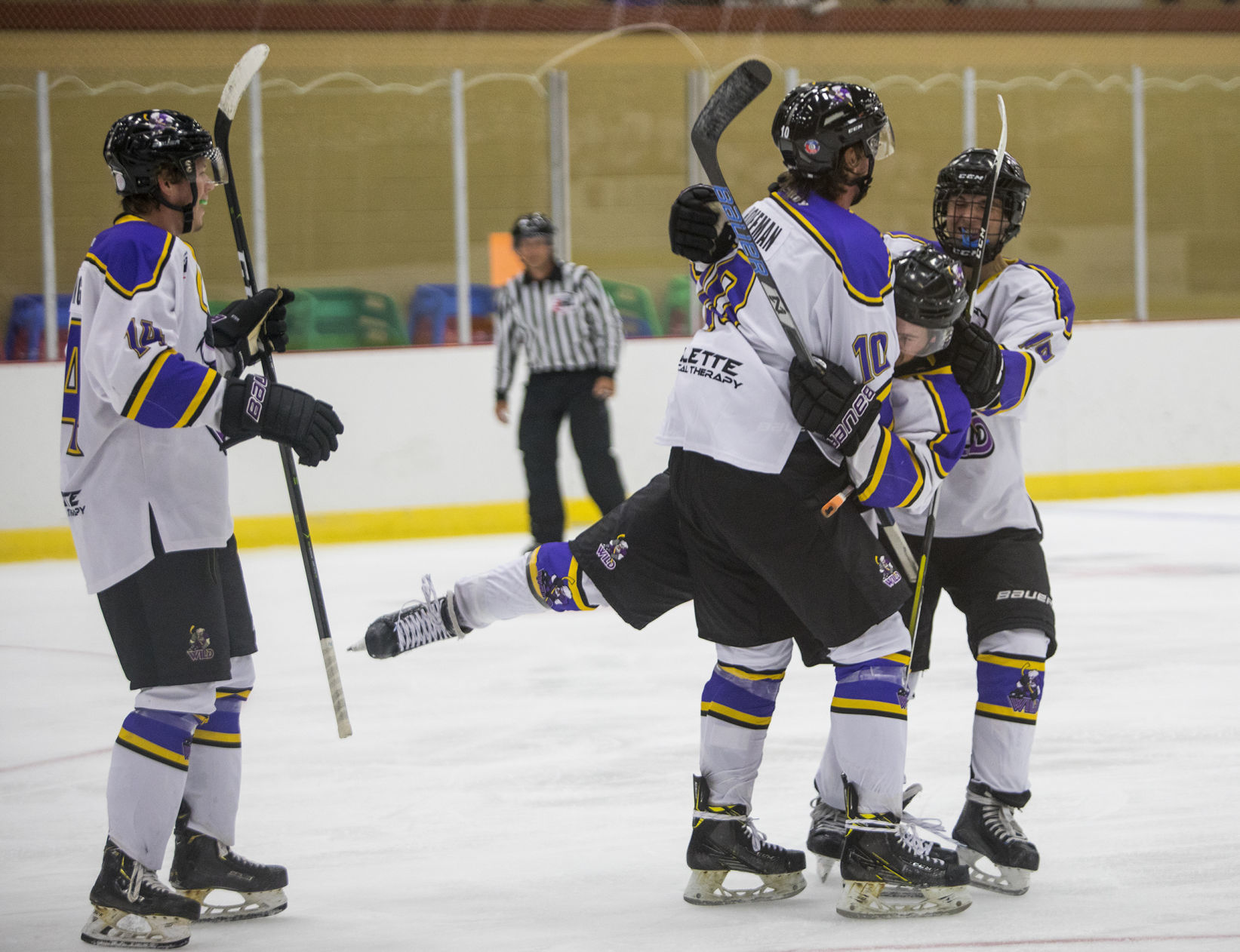 Wild Hockey vs Sheridan